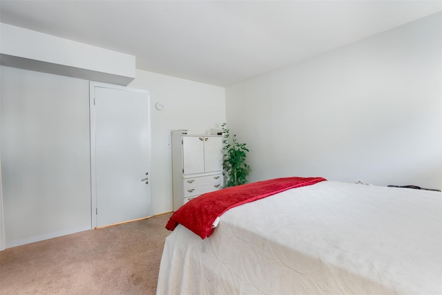 26 Cooper Rd Unit 416, Poughkeepsie, NY 12603 - view of carpeted bedroom