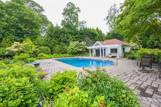 11 Black Rock Rd, Muttontown, NY 11545 - swimming pool with a pergola, a patio, a storage structure, an outdoor structure, and view of scattered trees