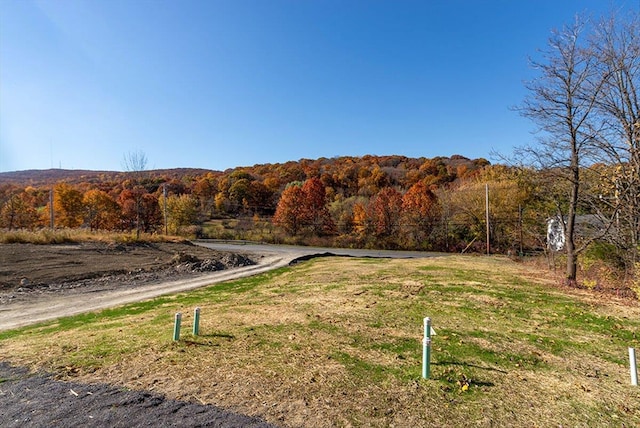 104 N Rd, Highland, NY 12528 - photo 15