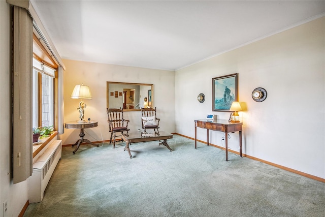 337 Atlantic Ave, Massapequa Park, NY 11762 - sitting room with carpet flooring, ornamental molding, and radiator heating unit