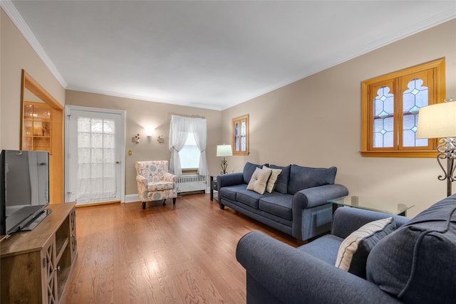 231 Wilson St, West Hempstead, NY 11552 - living area with wood finished floors, crown molding, and radiator