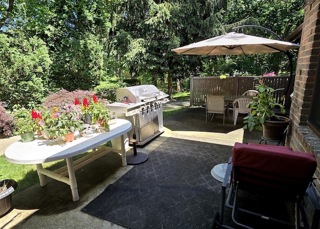 23 Birchwood Rd Unit 23, Coram, NY 11727 - view of patio / terrace with outdoor dining space and grilling area