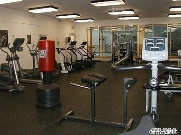 23 Birchwood Rd Unit 23, Coram, NY 11727 - view of exercise room