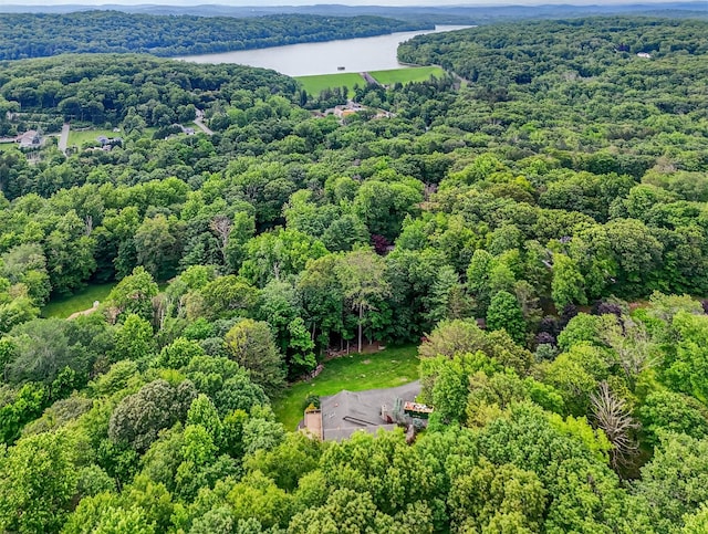 35 Greenlawn Rd, Amawalk, NY 10501 - drone / aerial view of a heavily wooded area and a nearby body of water