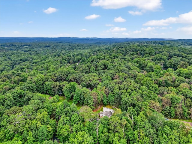 35 Greenlawn Rd, Amawalk, NY 10501 - bird's eye view of a forest