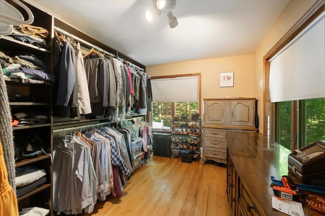 474 Swanson Dr, Thornwood, NY 10594 - walk in closet featuring light wood-style flooring