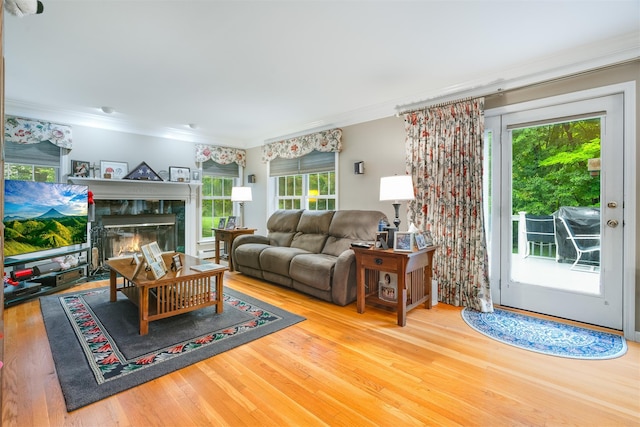 76 Warren St, Somers, NY 10589 - living room with plenty of natural light, wood finished floors, crown molding, and a fireplace