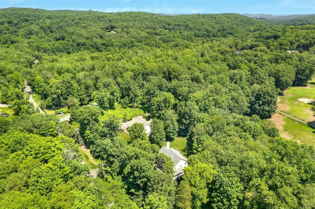 76 Warren St, Somers, NY 10589 - drone / aerial view of a forest