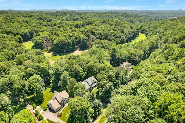 76 Warren St, Somers, NY 10589 - aerial view of a heavily wooded area