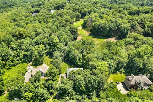 76 Warren St, Somers, NY 10589 - bird's eye view of a heavily wooded area