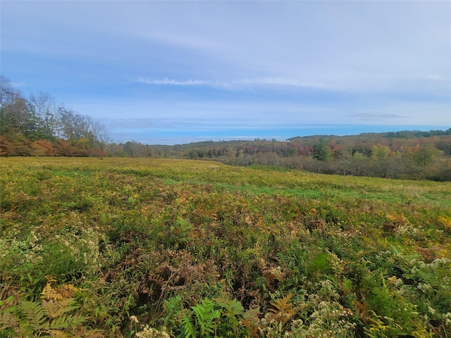Mongaup Rd, Hurleyville, NY 12747 - photo 1