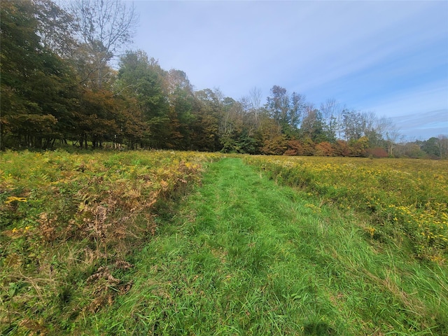 Mongaup Rd, Hurleyville, NY 12747 - photo 2