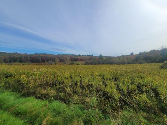 Mongaup Rd, Hurleyville, NY 12747 - photo 3