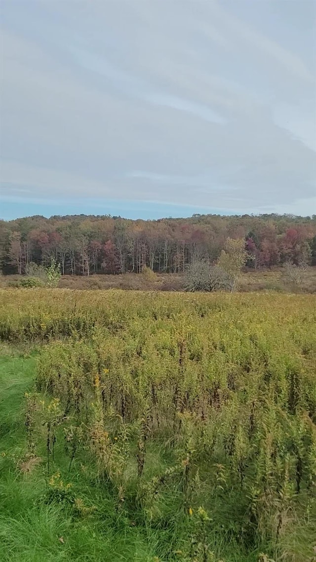 Mongaup Rd, Hurleyville, NY 12747 - photo 5