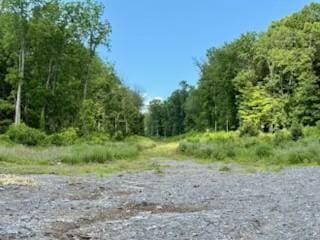 LOT8 Chelsea Rd, Hughsonville, NY 12590 - photo 9