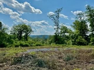 LOT8 Chelsea Rd, Hughsonville, NY 12590 - photo 10