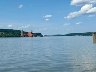 LOT8 Chelsea Rd, Hughsonville, NY 12590 - photo 11