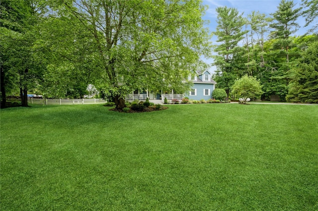173B Chappaqua Rd, Briarcliff Manor, NY 10510 - photo 8