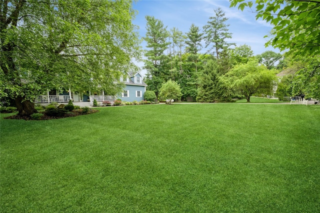 173B Chappaqua Rd, Briarcliff Manor, NY 10510 - photo 9