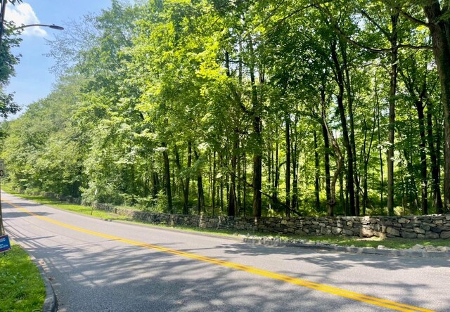 0 Barnes Ln, Purchase, NY 10577 - photo 4