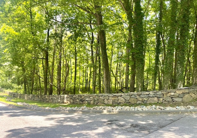 0 Barnes Ln, Purchase, NY 10577 - photo 5