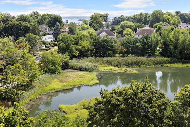 230 Pelham Rd Unit 3O, New Rochelle, NY 10805 - bird's eye view of a large body of water and a tree filled landscape
