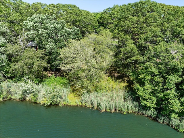 985 Ostrander Ave, Riverhead, NY 11901 - aerial view of property's location with a large body of water