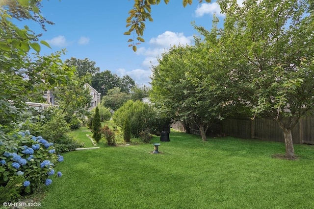 4 Dewindt St, Beacon, NY 12508 - view of yard