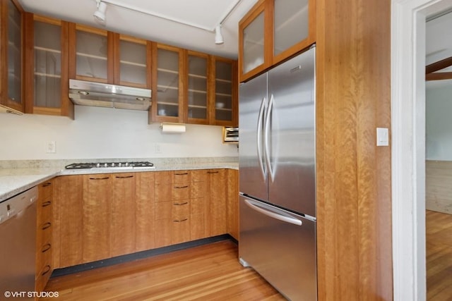 4 Dewindt St, Beacon, NY 12508 - kitchen with stainless steel appliances, rail lighting, under cabinet range hood, light wood finished floors, and glass insert cabinets