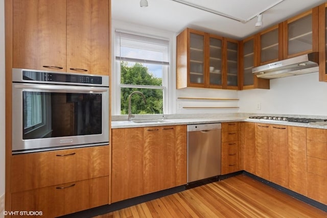 4 Dewindt St, Beacon, NY 12508 - kitchen featuring appliances with stainless steel finishes, under cabinet range hood, light wood finished floors, track lighting, and light countertops