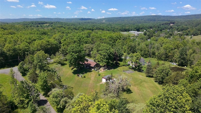 282 Petticoat Ln, Bloomingburg, NY 12721 - aerial view of property and surrounding area with a forest