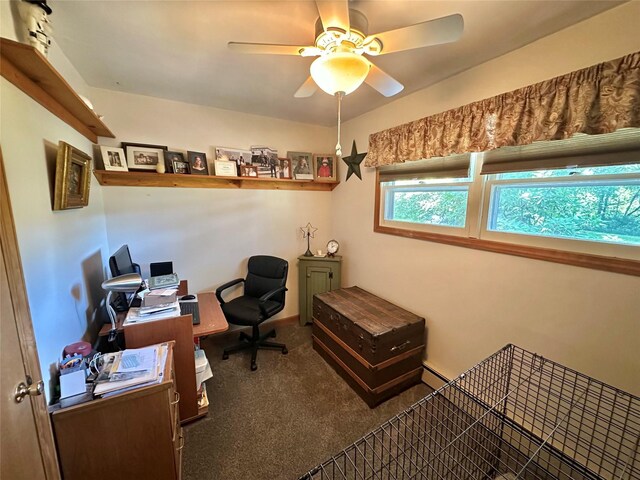 282 Petticoat Ln, Bloomingburg, NY 12721 - office area featuring carpet flooring, ceiling fan, and a baseboard radiator