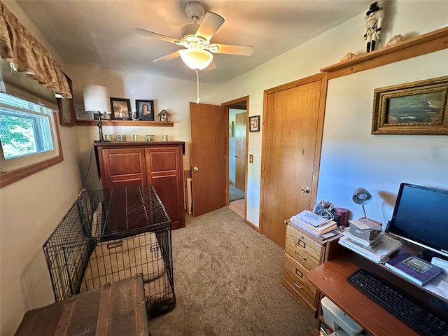 282 Petticoat Ln, Bloomingburg, NY 12721 - office with carpet flooring and a ceiling fan