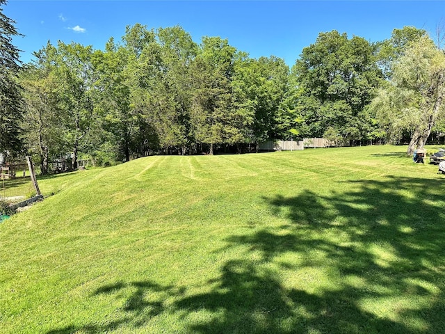 282 Petticoat Ln, Bloomingburg, NY 12721 - view of yard