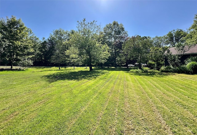 282 Petticoat Ln, Bloomingburg, NY 12721 - view of green lawn