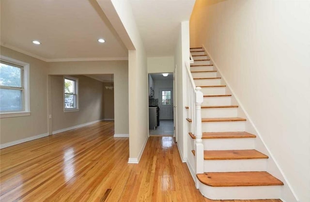 80-01 249th St, Bellerose, NY 11426 - photo 4