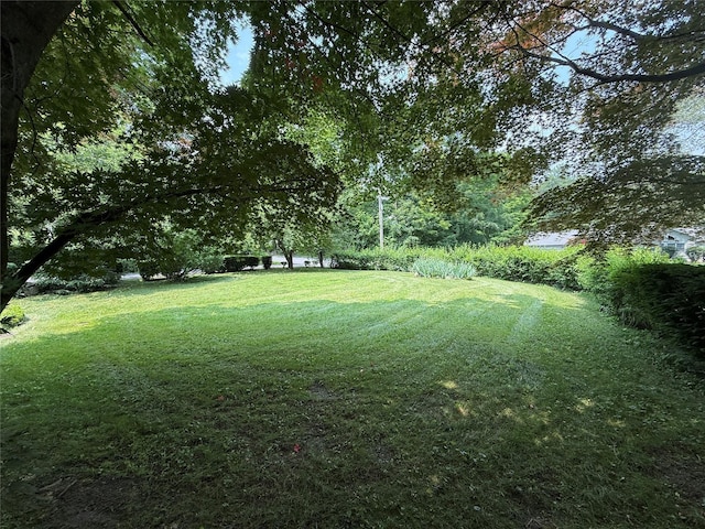 5 Spruce Dr, Hyde Park, NY 12538 - photo 23