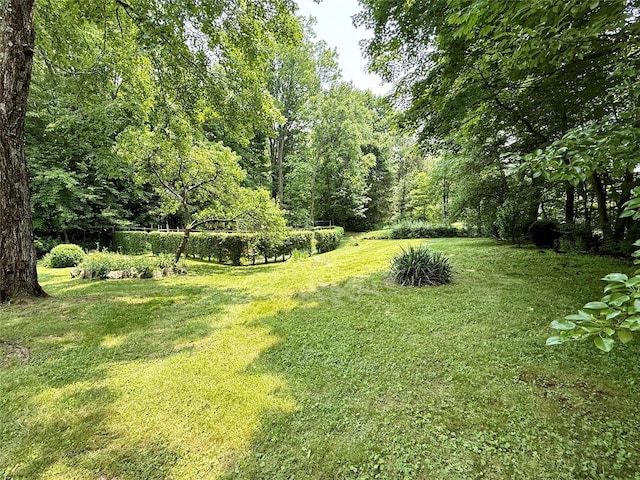 5 Spruce Dr, Hyde Park, NY 12538 - photo 24
