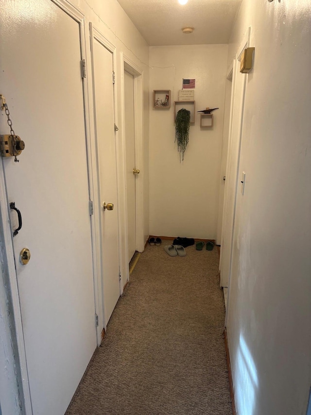 40 Samuel St, Ronkonkoma, NY 11779 - corridor with light carpet