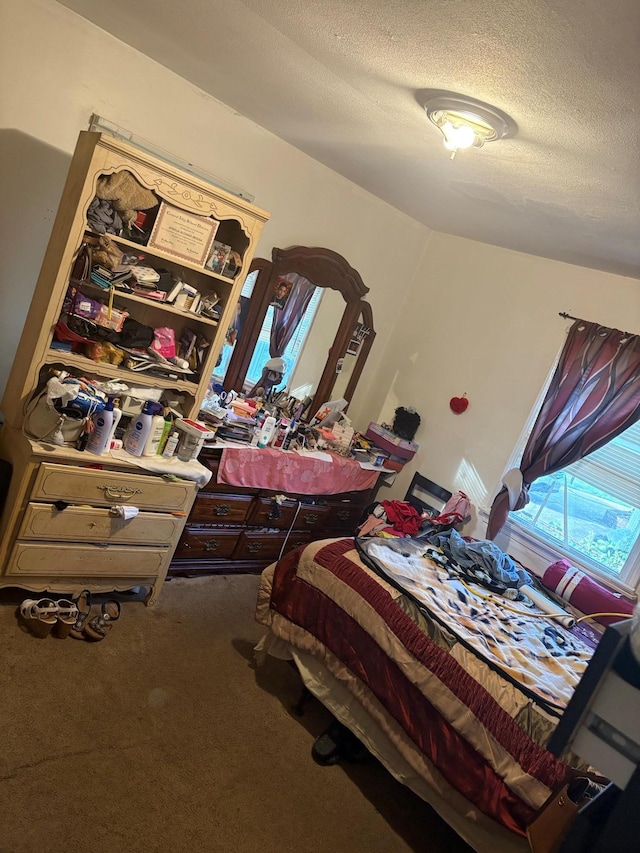 40 Samuel St, Ronkonkoma, NY 11779 - bedroom with carpet flooring and a textured ceiling