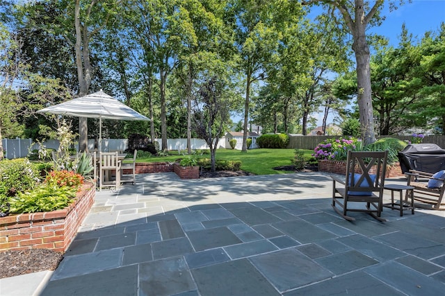 17 Pheasant Run Ln, Dix Hills, NY 11746 - fenced backyard featuring a patio area and a grill