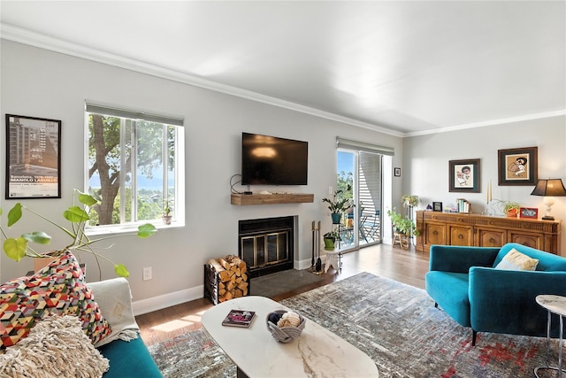29D Windle Park Unit D, Tarrytown, NY 10591 - living room with a glass covered fireplace, crown molding, and wood finished floors