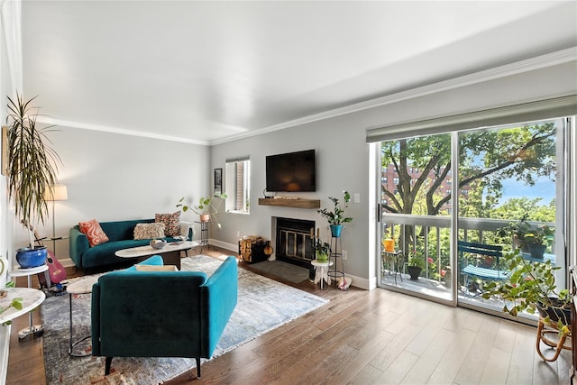 29D Windle Park Unit D, Tarrytown, NY 10591 - living room with crown molding, a fireplace with flush hearth, and wood finished floors
