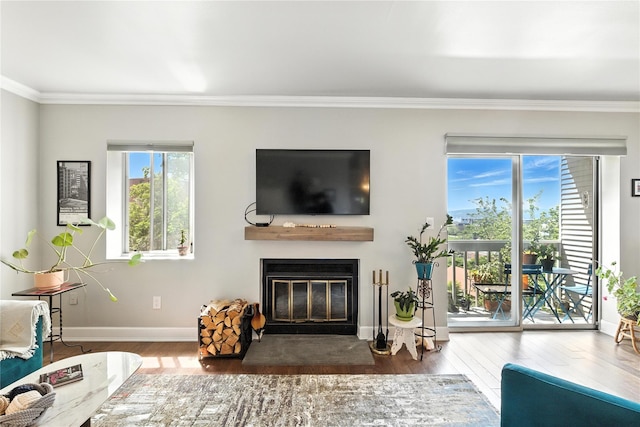 29D Windle Park Unit D, Tarrytown, NY 10591 - living area with a glass covered fireplace, wood finished floors, and crown molding