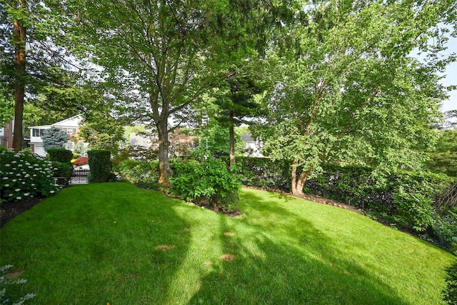 80-67 222nd St, Hollis Hills, NY 11427 - photo 31