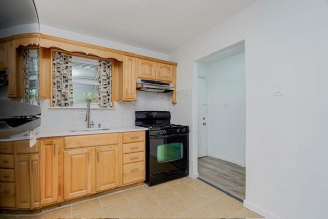 524 Schenck Ave, Brooklyn, NY 11207 - photo 4