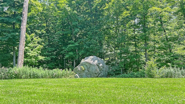 33 Victoria Dr, Cold Spring, NY 10516 - view of green lawn