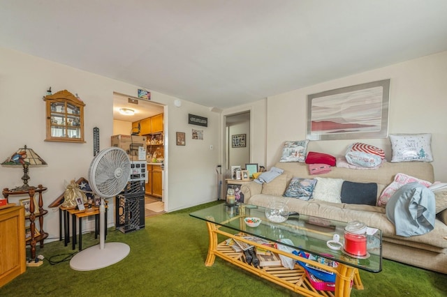 66 Gates Ave, Valley Stream, NY 11580 - living area featuring carpet floors