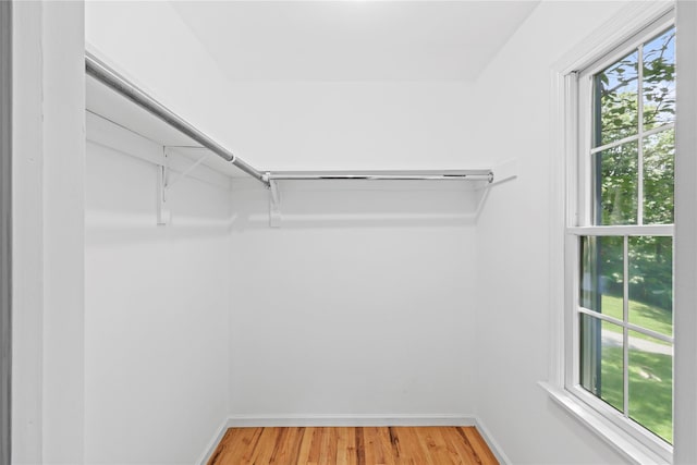 21 Kipp St, Chappaqua, NY 10514 - walk in closet featuring light wood finished floors
