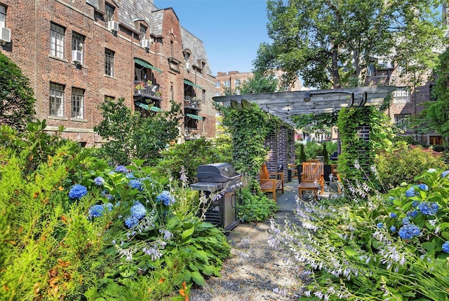 20 N Broadway Unit O-373, White Plains, NY 10601 - view of yard featuring a pergola